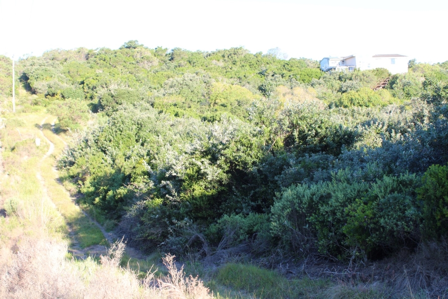 0 Bedroom Property for Sale in Kleinemonde Eastern Cape
